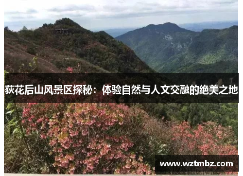 荻花后山风景区探秘：体验自然与人文交融的绝美之地